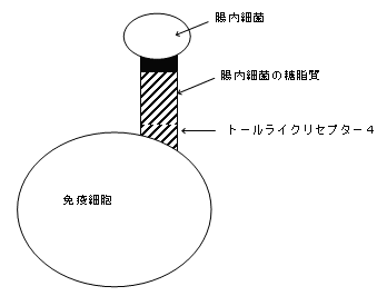 �g�[�����C�N���Z�v�^�[4�̊T�v