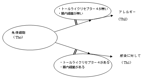 �Ɖu�זE�ƃg�[�����C�N���Z�v�^�[4�̊֌W