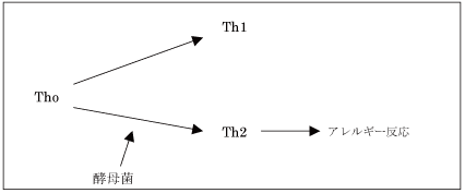 �y��ۂƃA�����M�[�̊֌W��