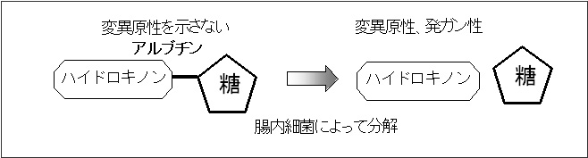 �n�C�h���L�m���̕��o�T�O�}