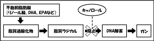 �������W�J�������\�̐}��